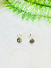 Load image into Gallery viewer, Grey Moonstone Studs