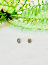 Load image into Gallery viewer, Grey Moonstone Studs